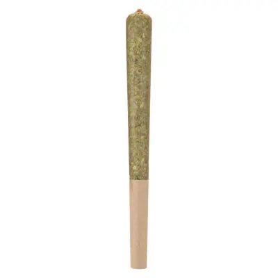 Woody Nelson Country Club 1x1g Infused Pre-Roll
