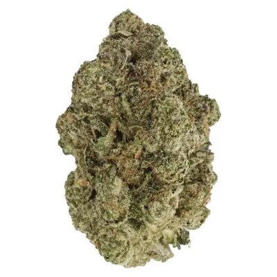 Back Forty Fire Breath Dried Flower - Back Forty Fire Breath 28g Dried Flower