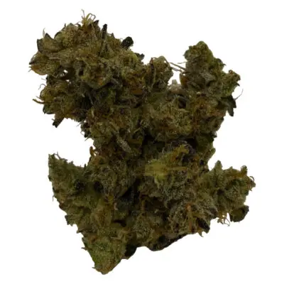 HighXotic Royal Dive#3: Hindu Glue Dried Flower