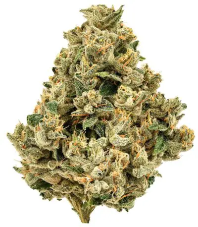 Cheers Cannabis Strawberry Grail Dried Flower