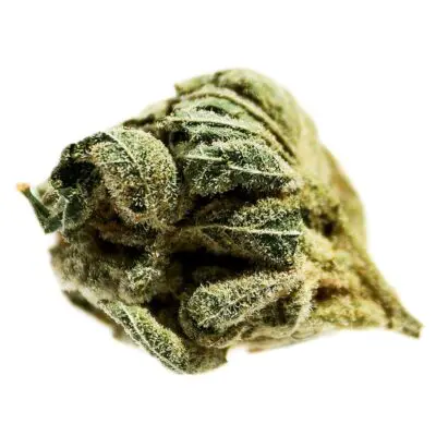Potluck Frosted Cherry 7g Dried Flower