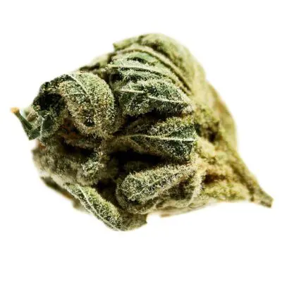 Potluck Pineapple Express 7g Dried Flower