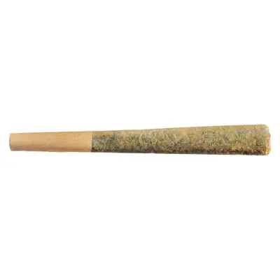 Fuego Sunny Daze Pre-Rolls - Fuego Sunny Daze 1x1g Pre-Roll