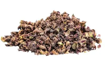 Tenzo Fun Trip 7g Milled Dried Flower