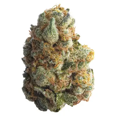 Spinach GMO Cookies Dried Flower - Spinach GMO Cookies 14g Dried Flower