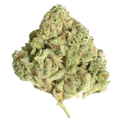 Potluck Sugar Shack 7g Dried Flower
