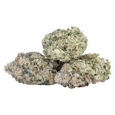 Sixty Seven Sins EXPO67 3.5g Dried Flower