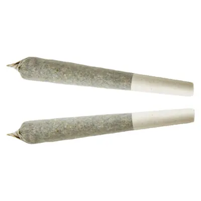 XPLOR Sativa 1x1g Pre-Roll