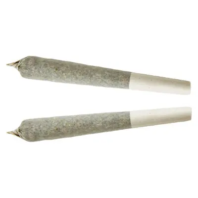 XPLOR Indica 1x1g Pre-Roll