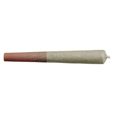 Big Bag O' Buds - Bag O' Doobs: Blueberry Dream 10x0.5g Pre-Rolls