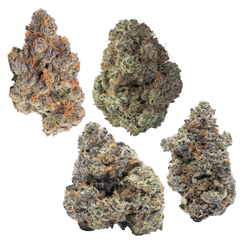 COOKIES 4 Cultivar Flower Pack
