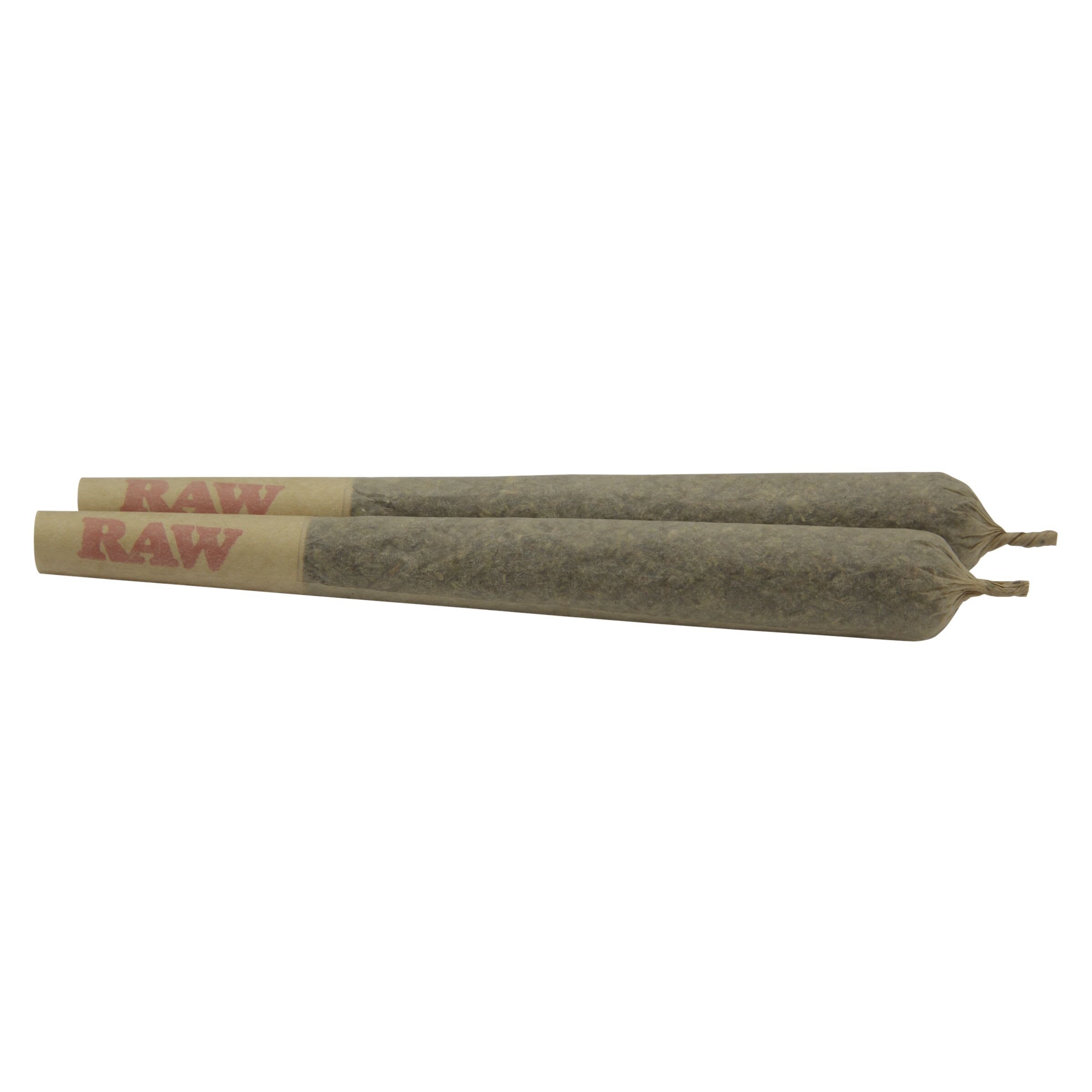 COMMON GROUND Larry the Purple Alien Pre-Roll