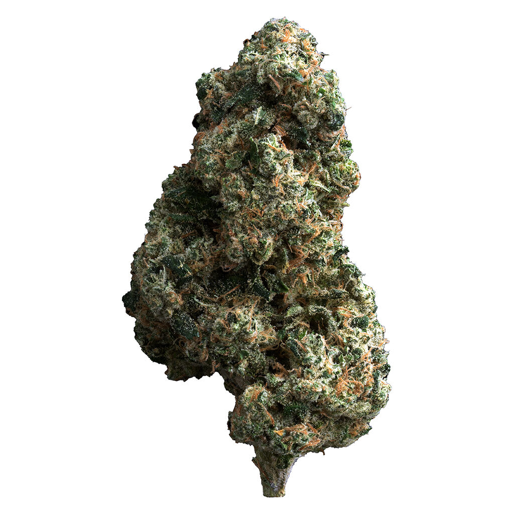 The Loud Plug Cherry Diesel 7g Dried Flower