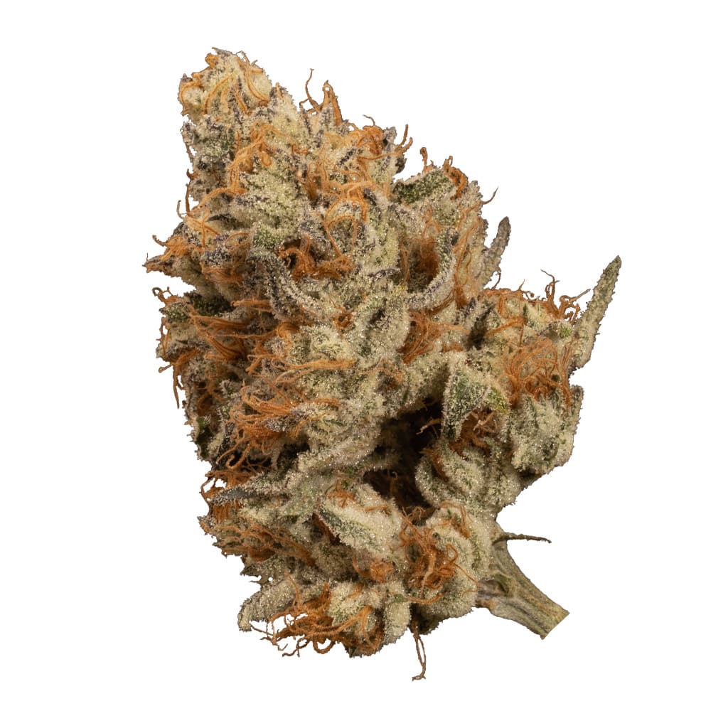 OGEN Bacio Punch #8