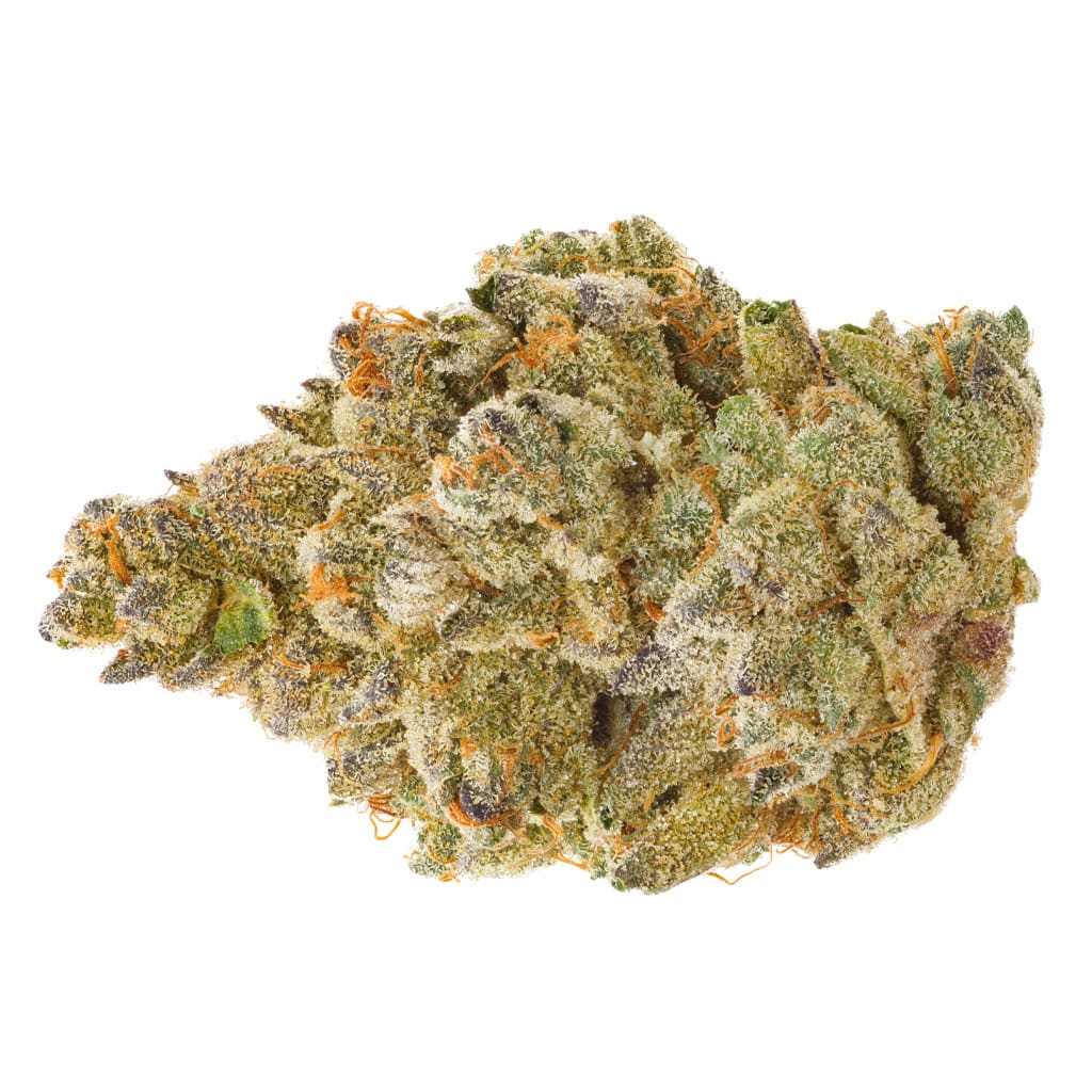 DAILY SPECIAL Gasberry Pie