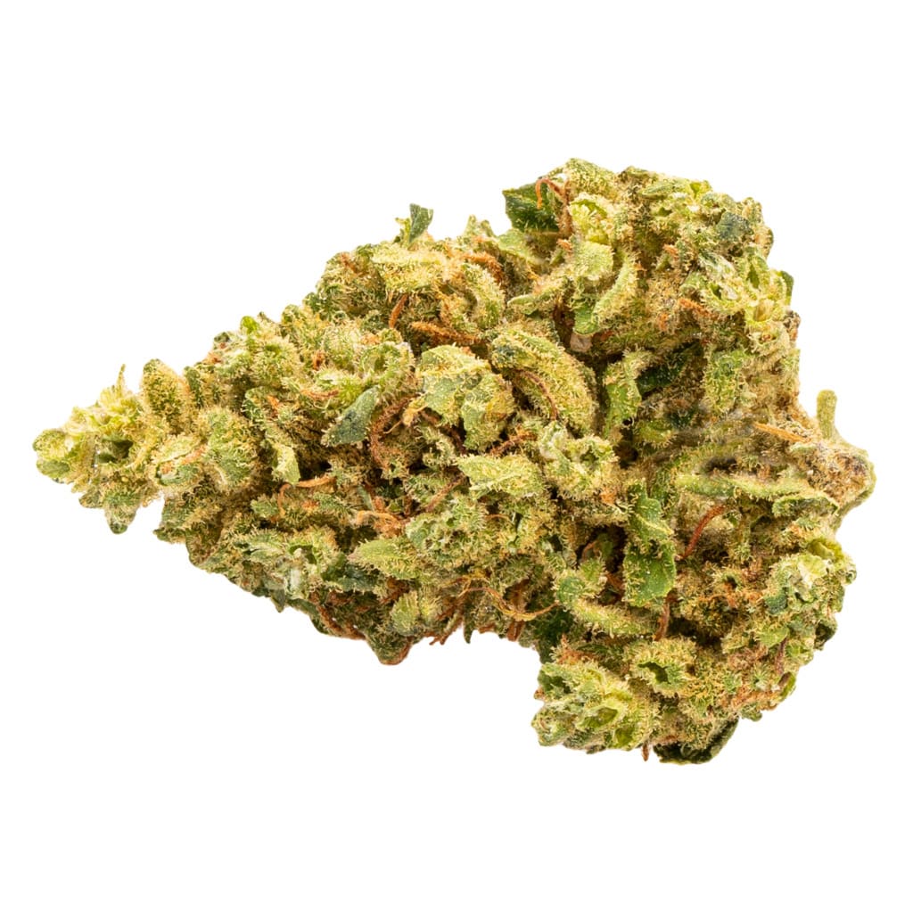 GOOD SUPPLY Golden Goat Small Buds