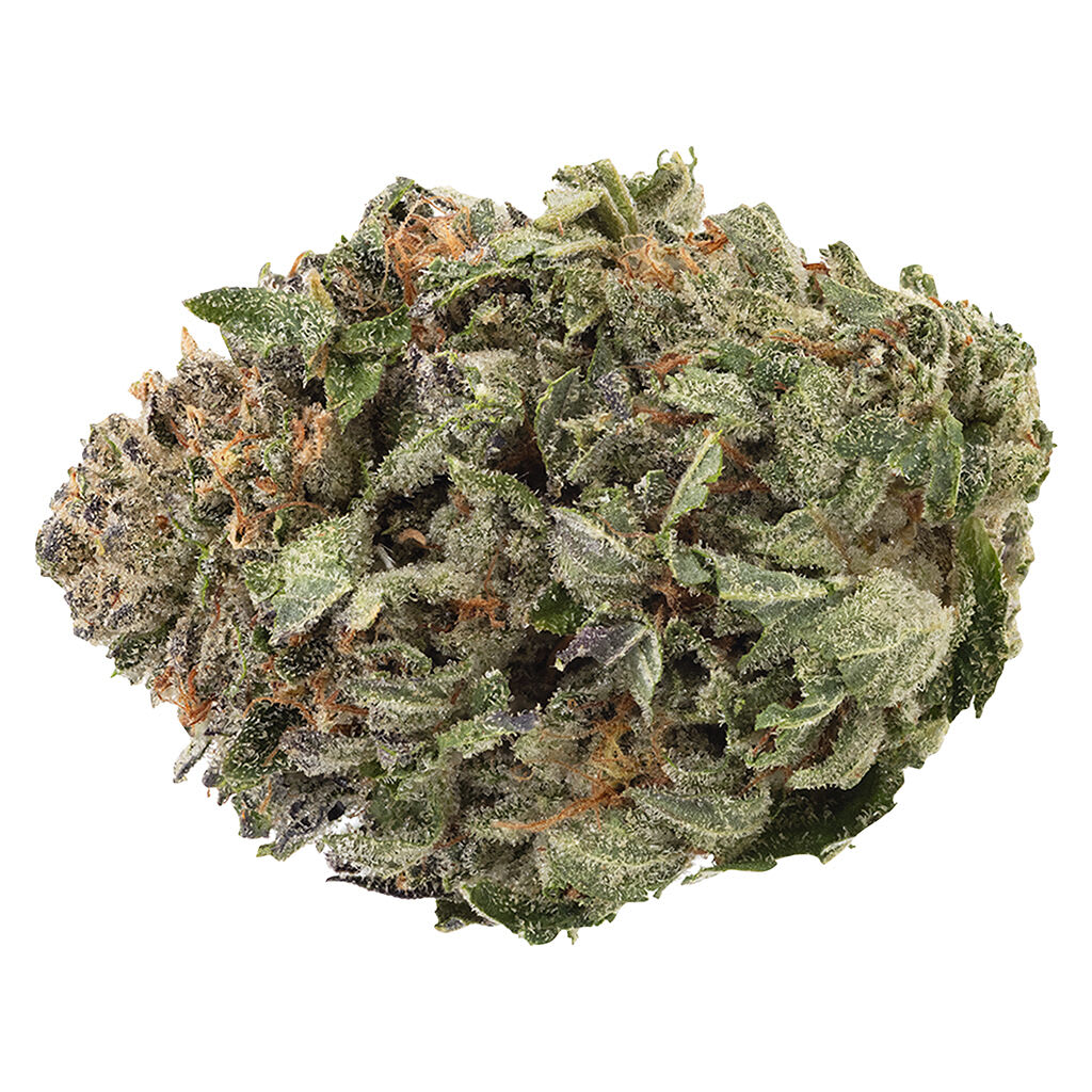 1964 Organic Death Bubba - Image 2
