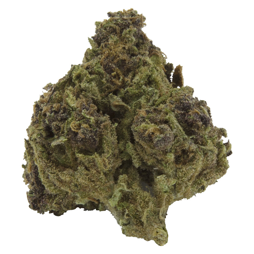 COMMON GROUND Blueberry Muffin Whole Flower