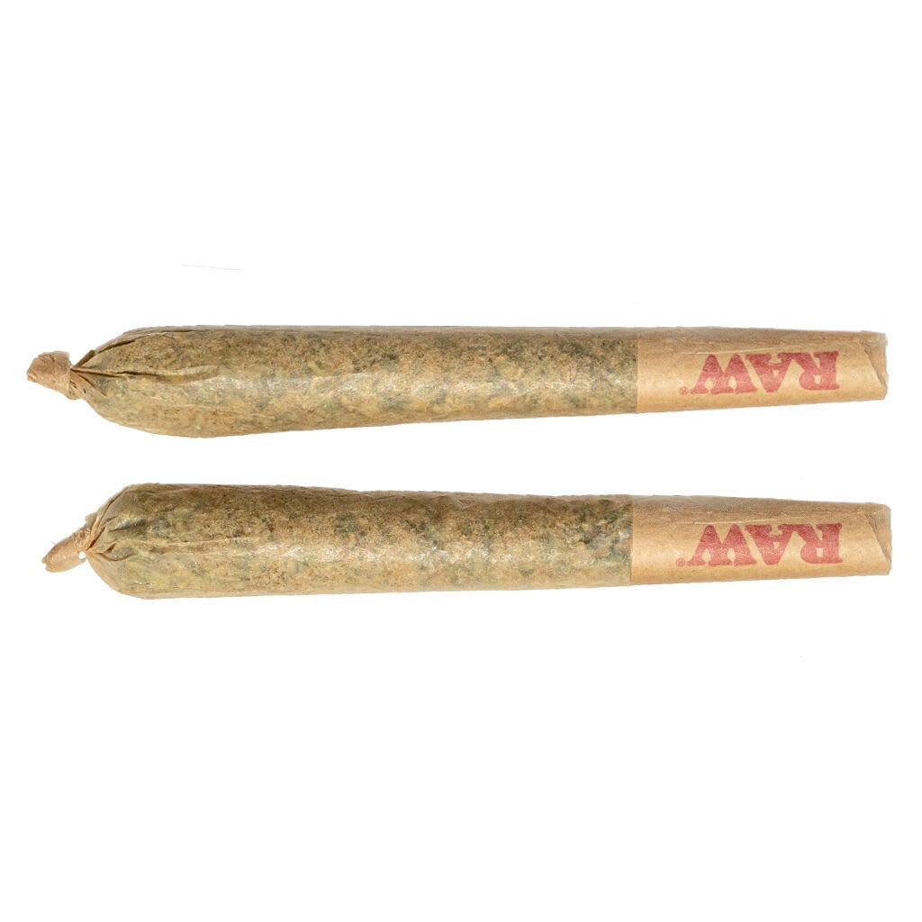 BURB BC Zaza Pre-Rolls