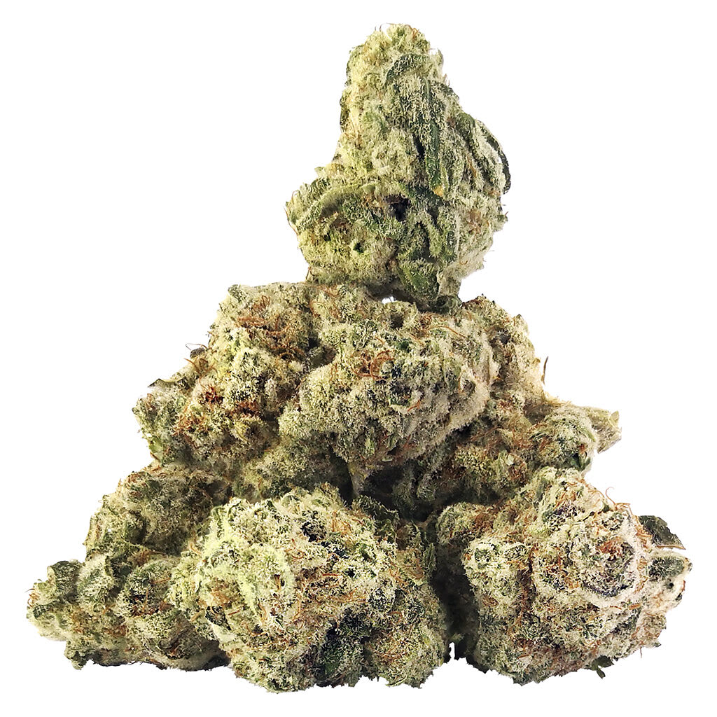 GREAT GARDENER SELECT Sweet Peach