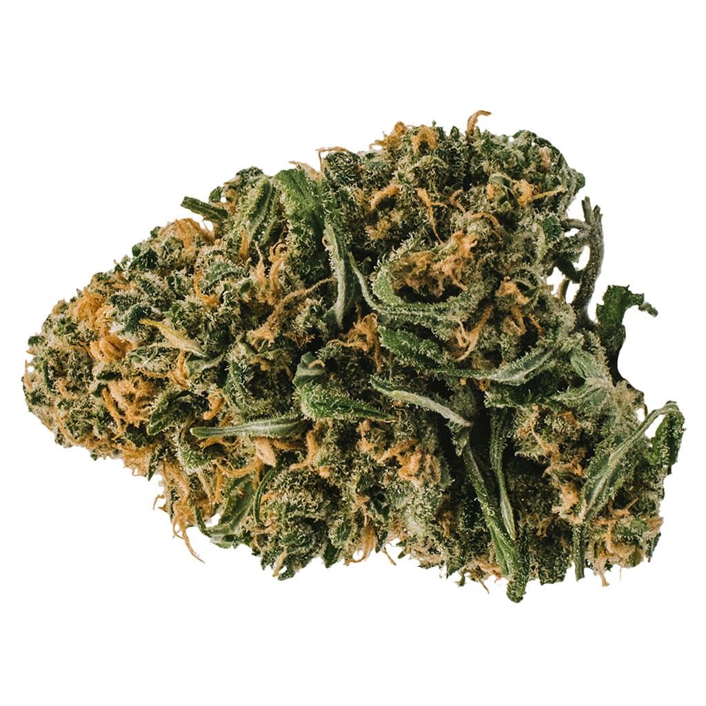 Redecan Animal Rntz Dried Flower