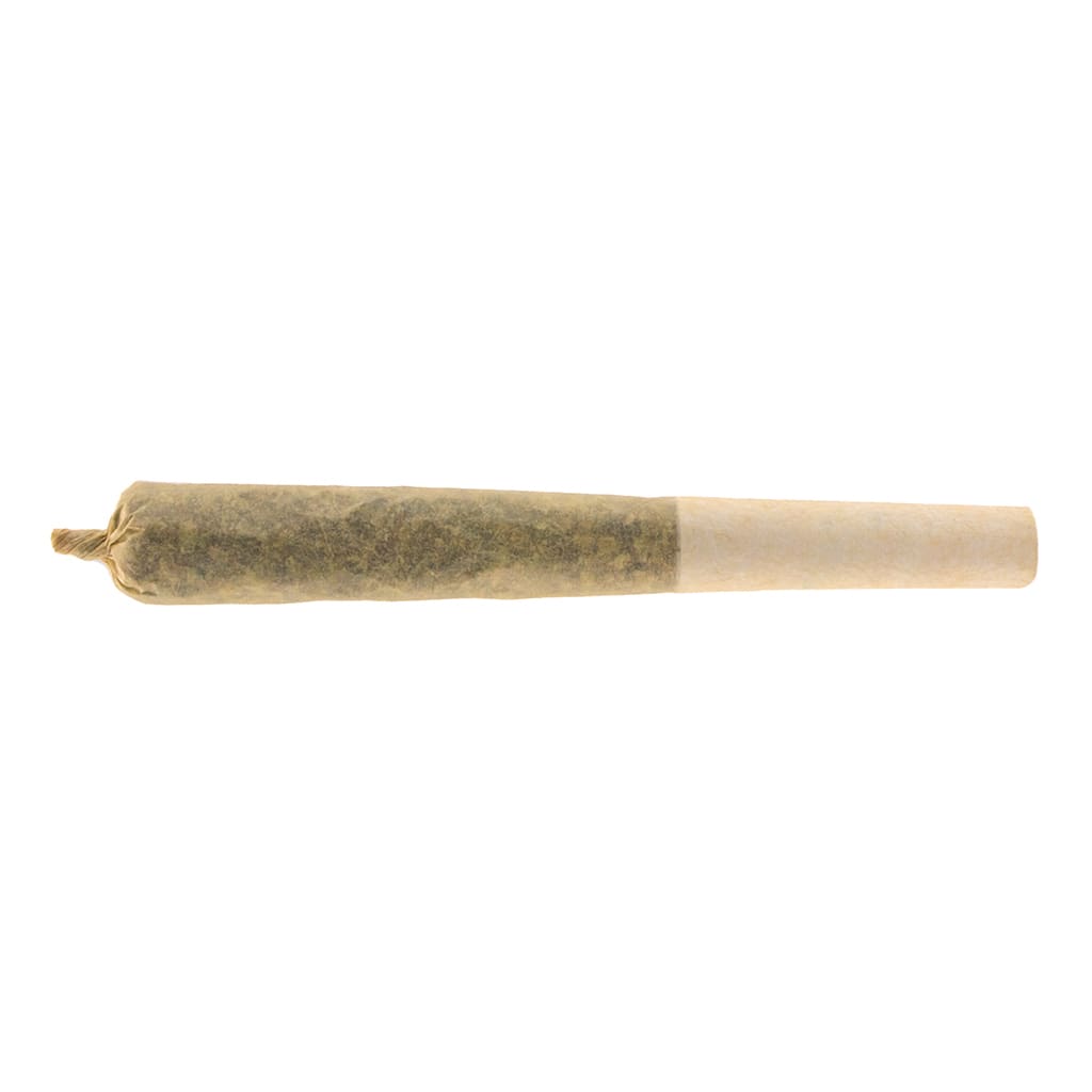 REEF ORGANIC Rogue Wave