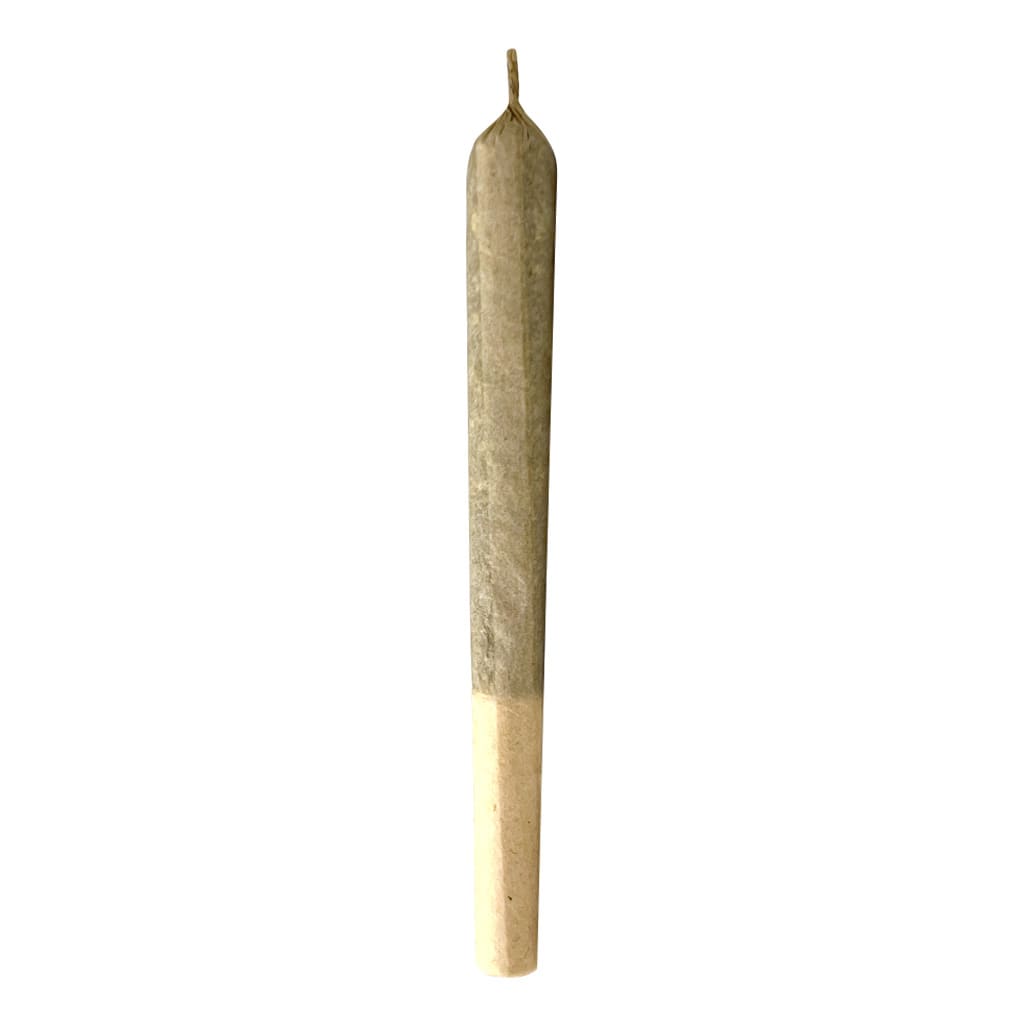 MTL CANNABIS Jungl' Cake Pre-Roll