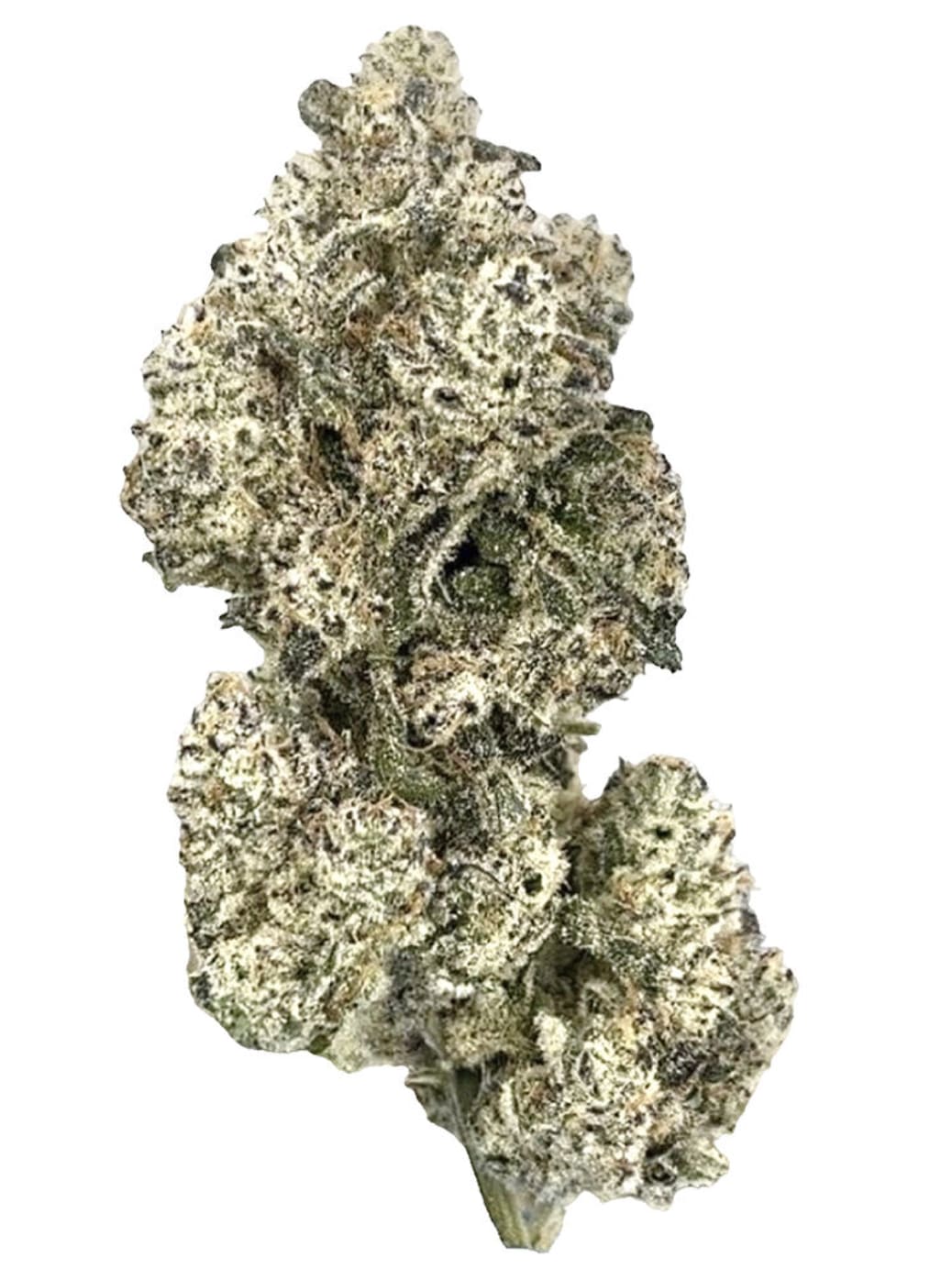 HighXotic Royal Dive#5: Purple Zombie 3.5g
