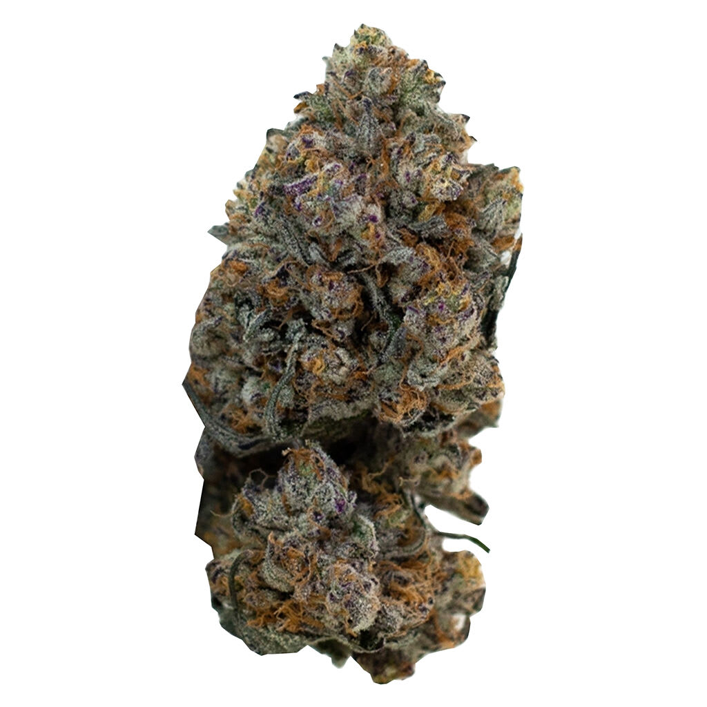 OGKB x Lost Sailor x Platinum Kush
