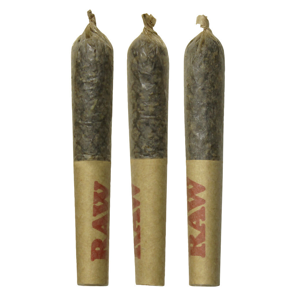 DAB BODS Baja Banana Disti Infused Joints