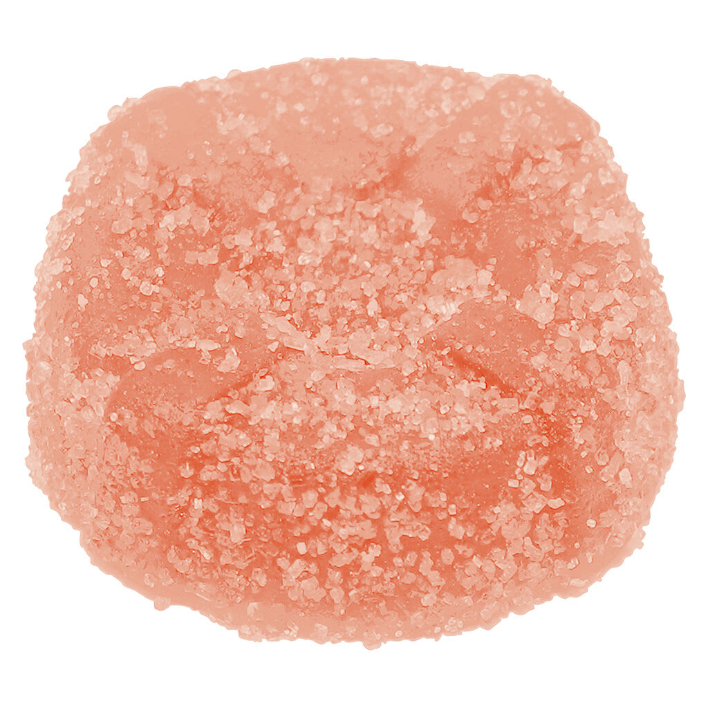 No Future Gummy 1 pack - Image 2
