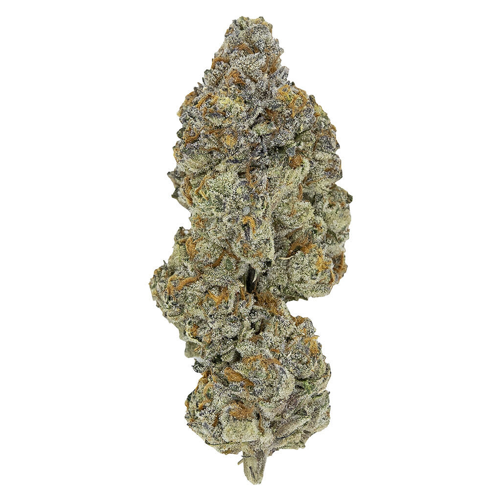 Pistol And Paris LSO Collection: Blueberry Vendetta 7g Dried Flower
