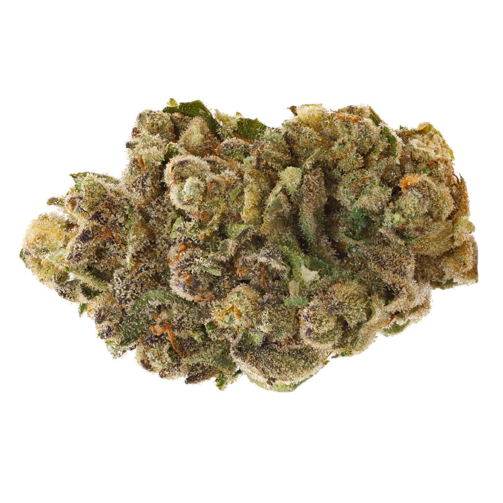 NO DISCOUNT - SAN RAFAEL '71 Farm Gas