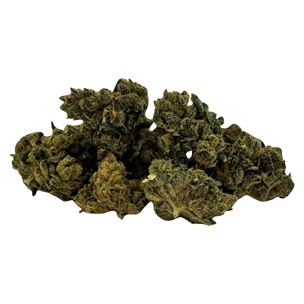 Mini Quadz Indica