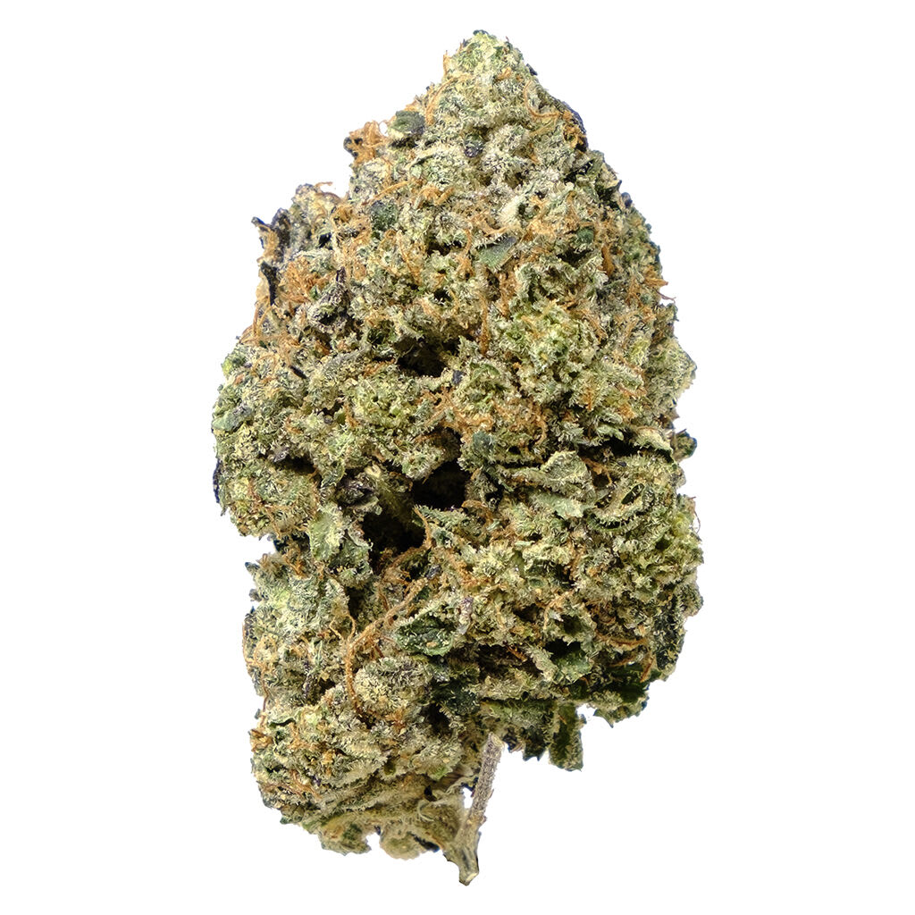 Pistol and Paris Pink Goo Dried Flower