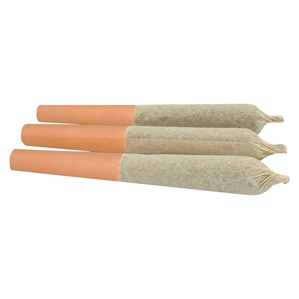 PALMETTO Blue Razzleberry Kush Infused Pre-Roll