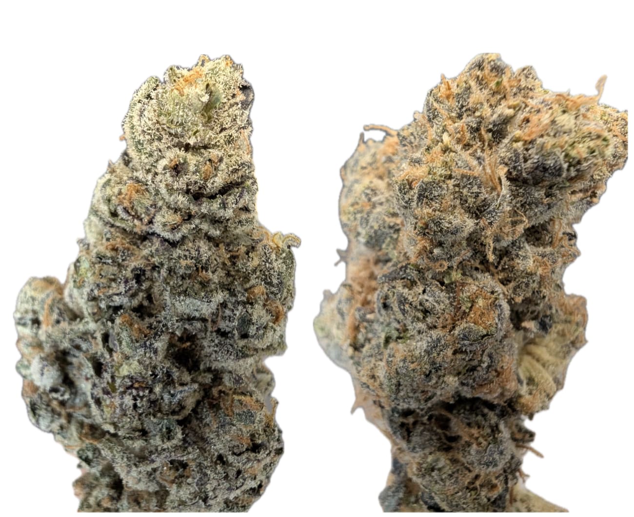 Purple Hills VCC: Ukee x G-Wagon 14g Dried Flower