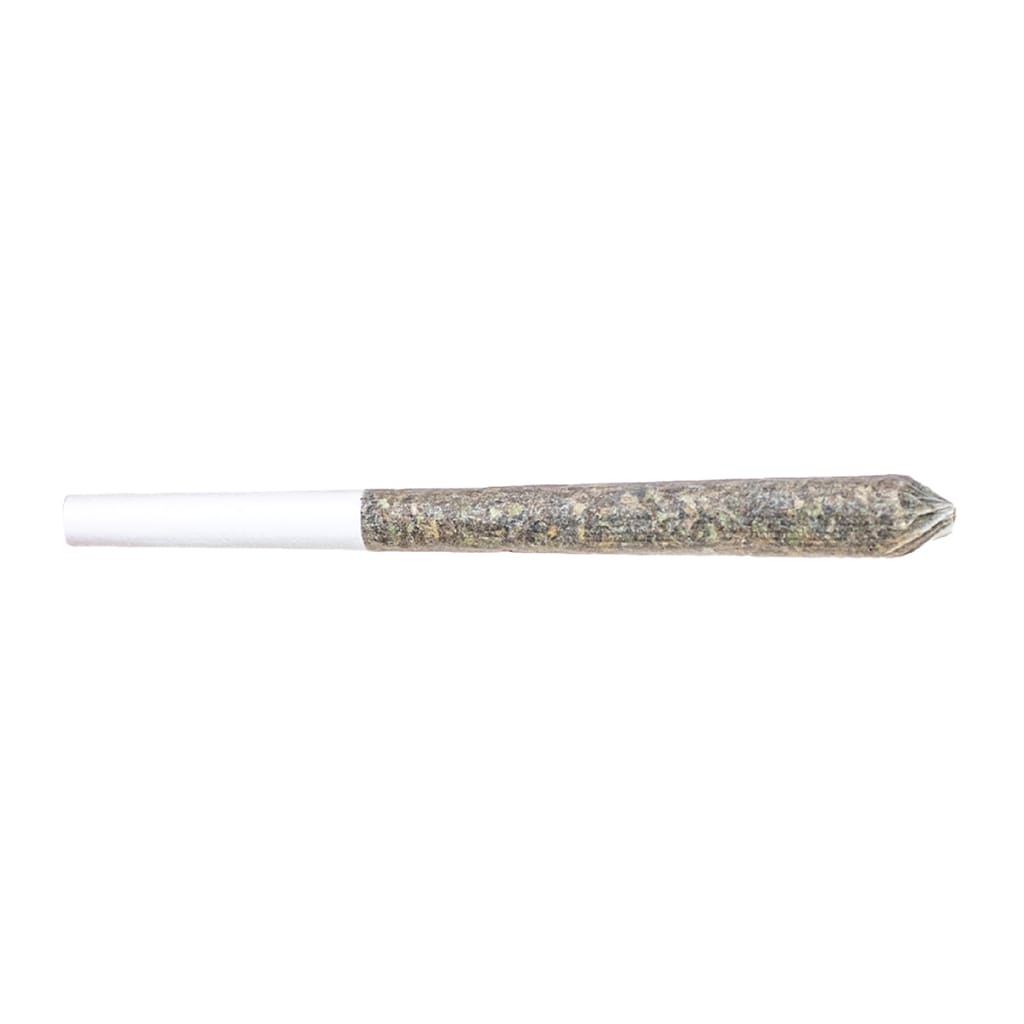 POTLUCK Banana Cream Pre-Roll