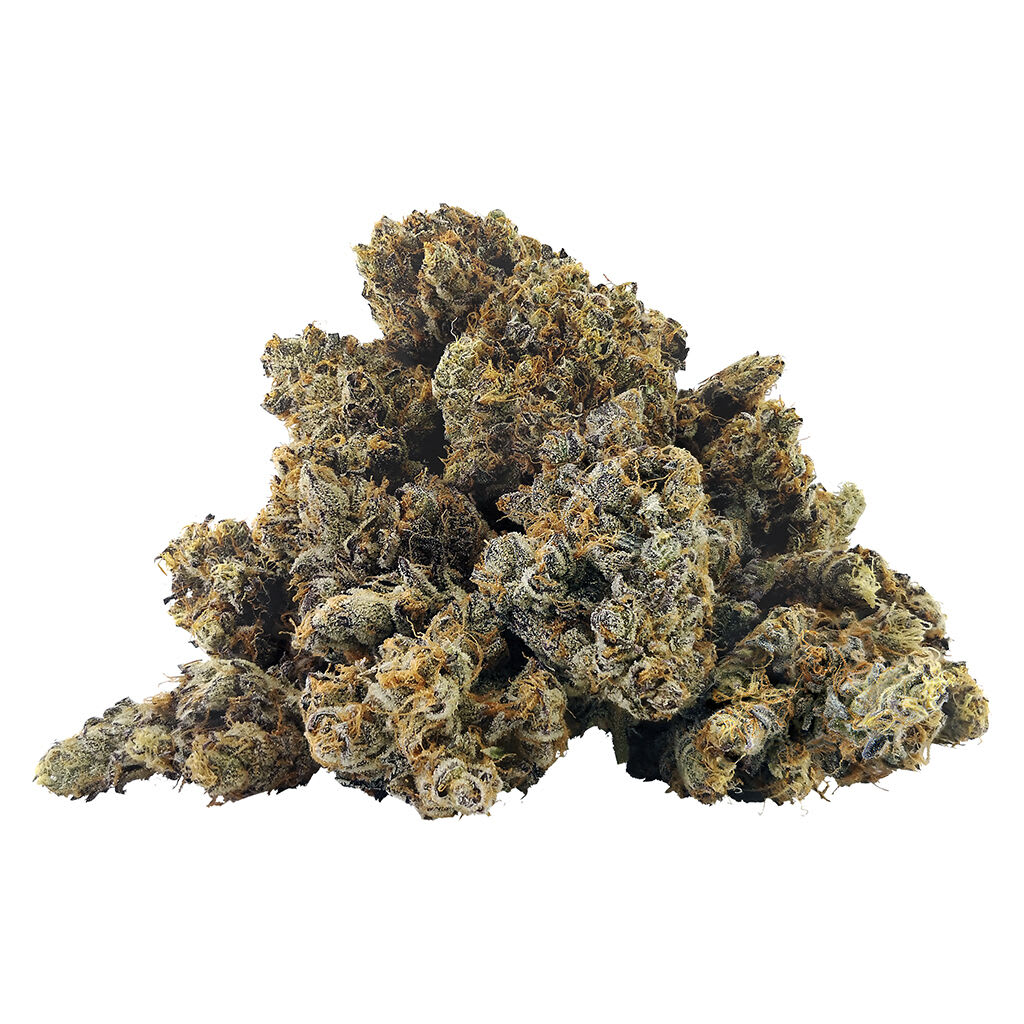 BC OZ Zlushiez Craft