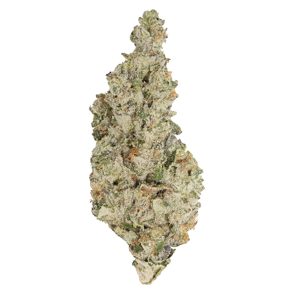 Always Toasted Hawaiian Face Dried Flower
