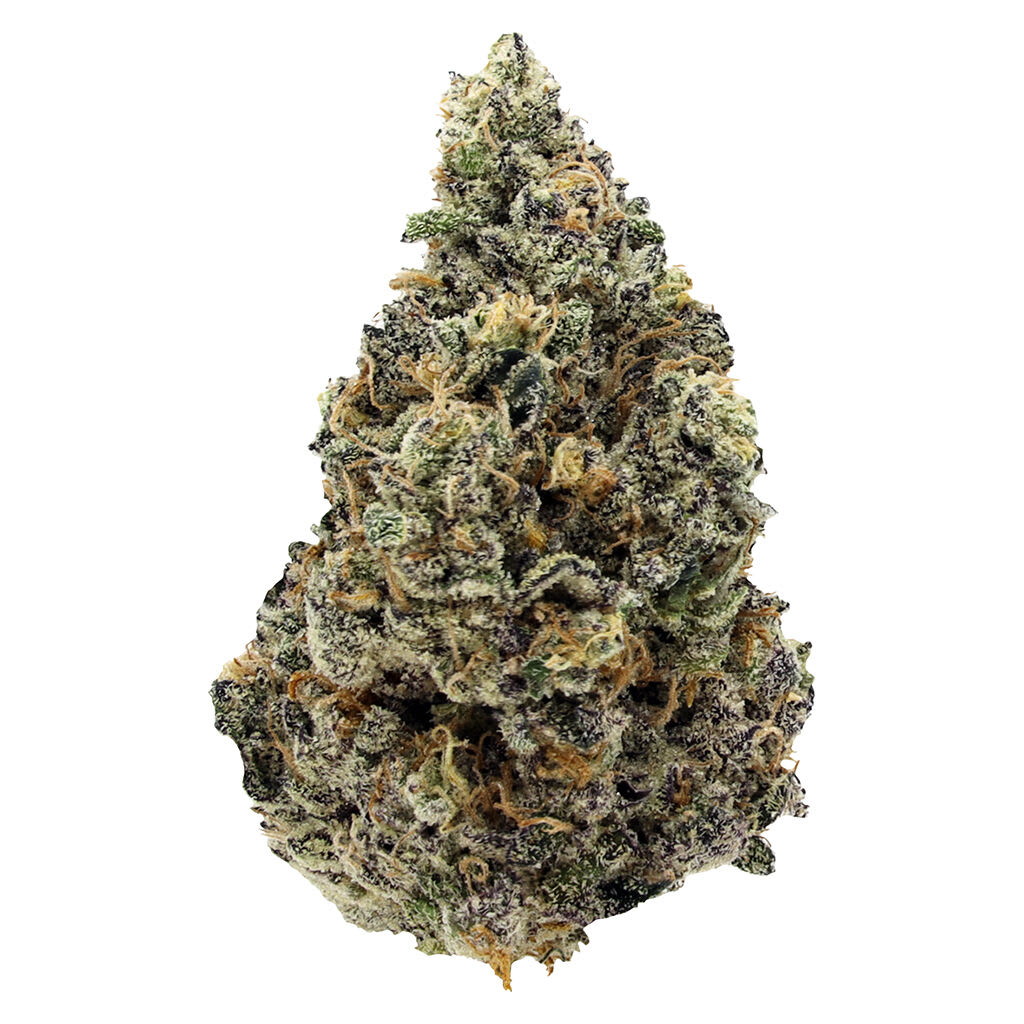 GREENSEAL Purple Crush