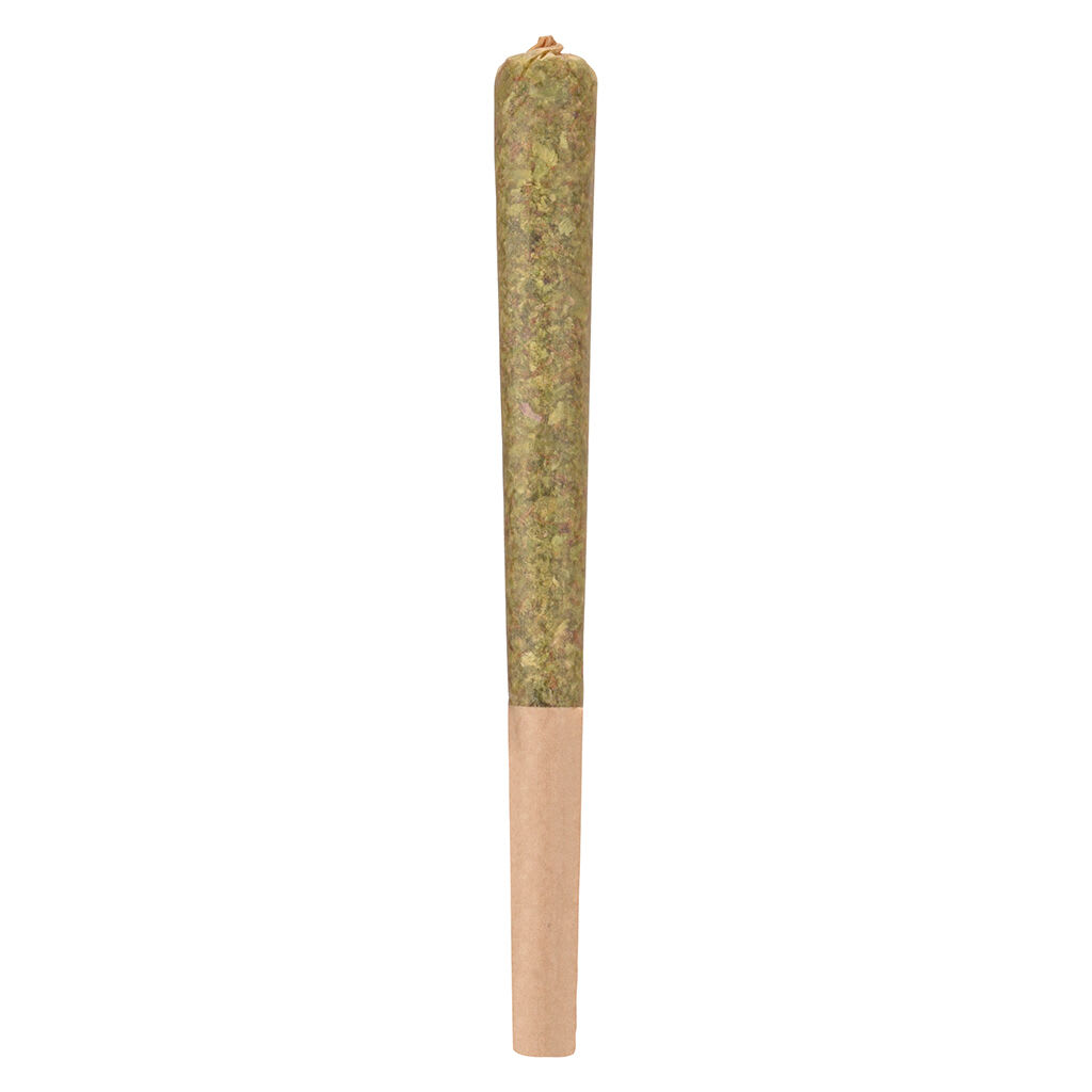Woody Nelson Rocketeer 1x1g Infused Pre-Roll
