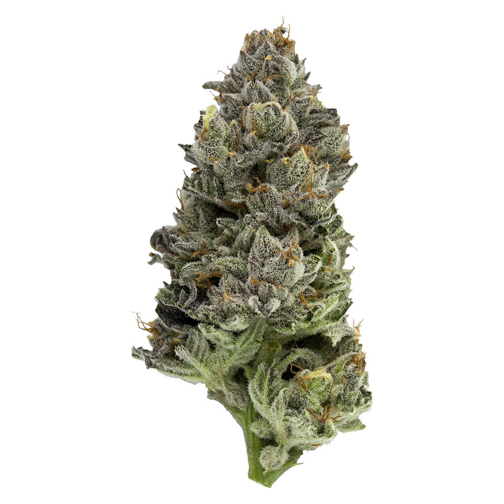 ORIGINAL STASH Black Cherry Punch