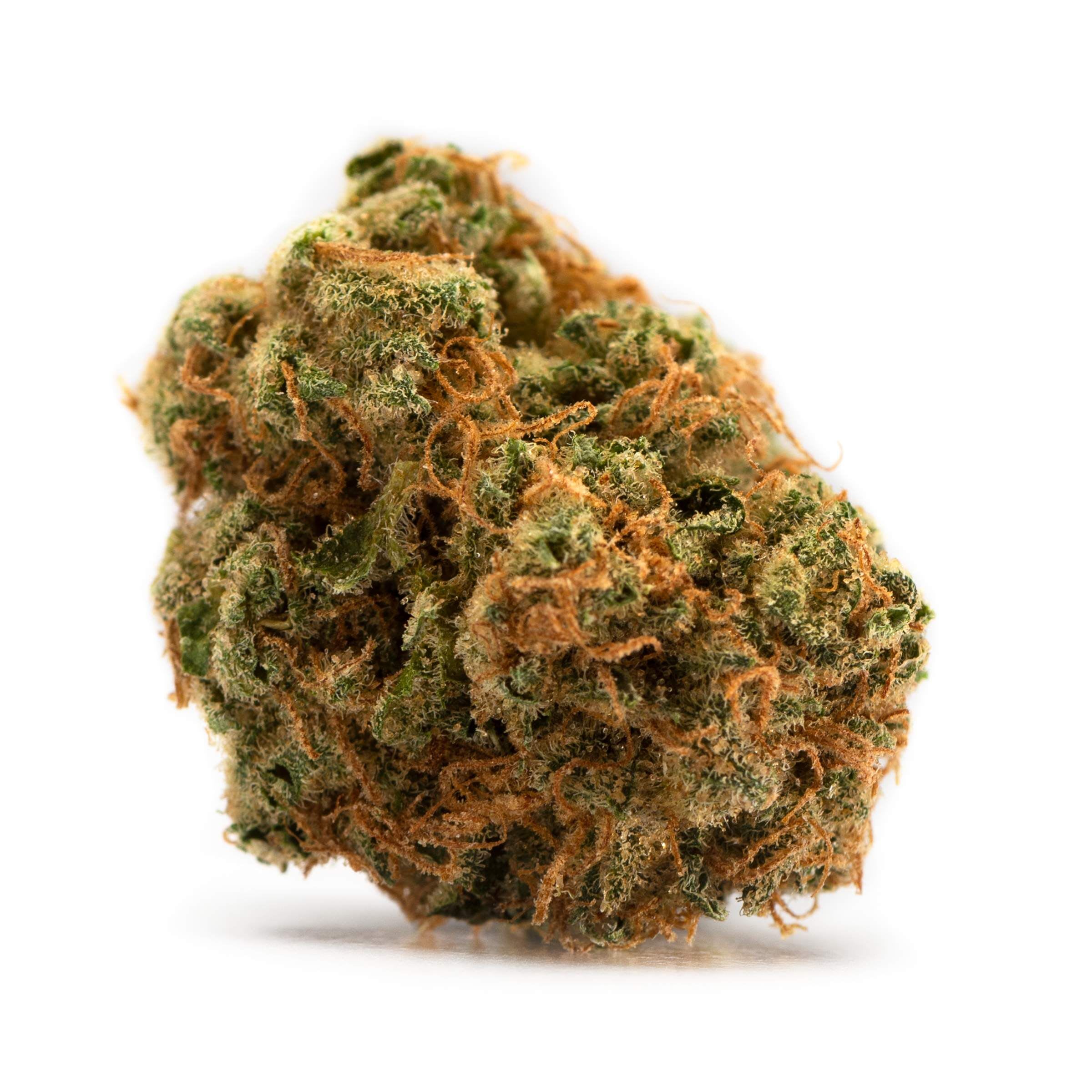 TWEED Hindu Kush