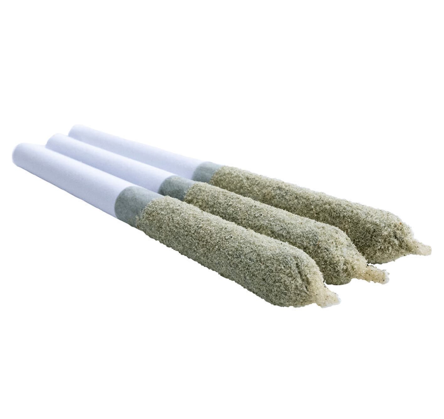 Shark Bite Toasters Infused Pre-roll