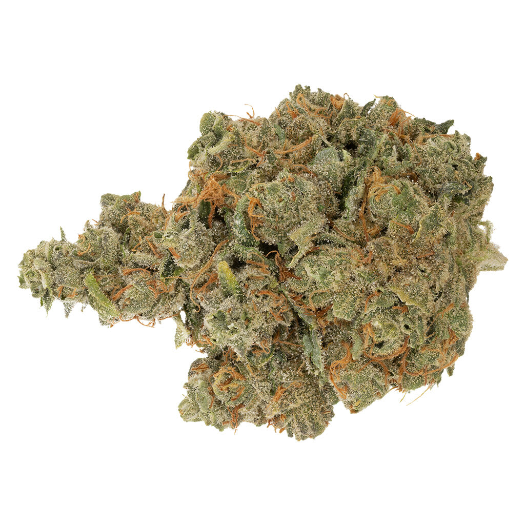 SUMO CANNABIS Triangle Kush x Chem 91