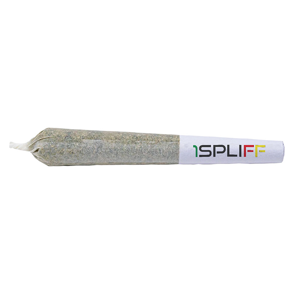 1SPLIFF Orange Rntz Pre-Roll