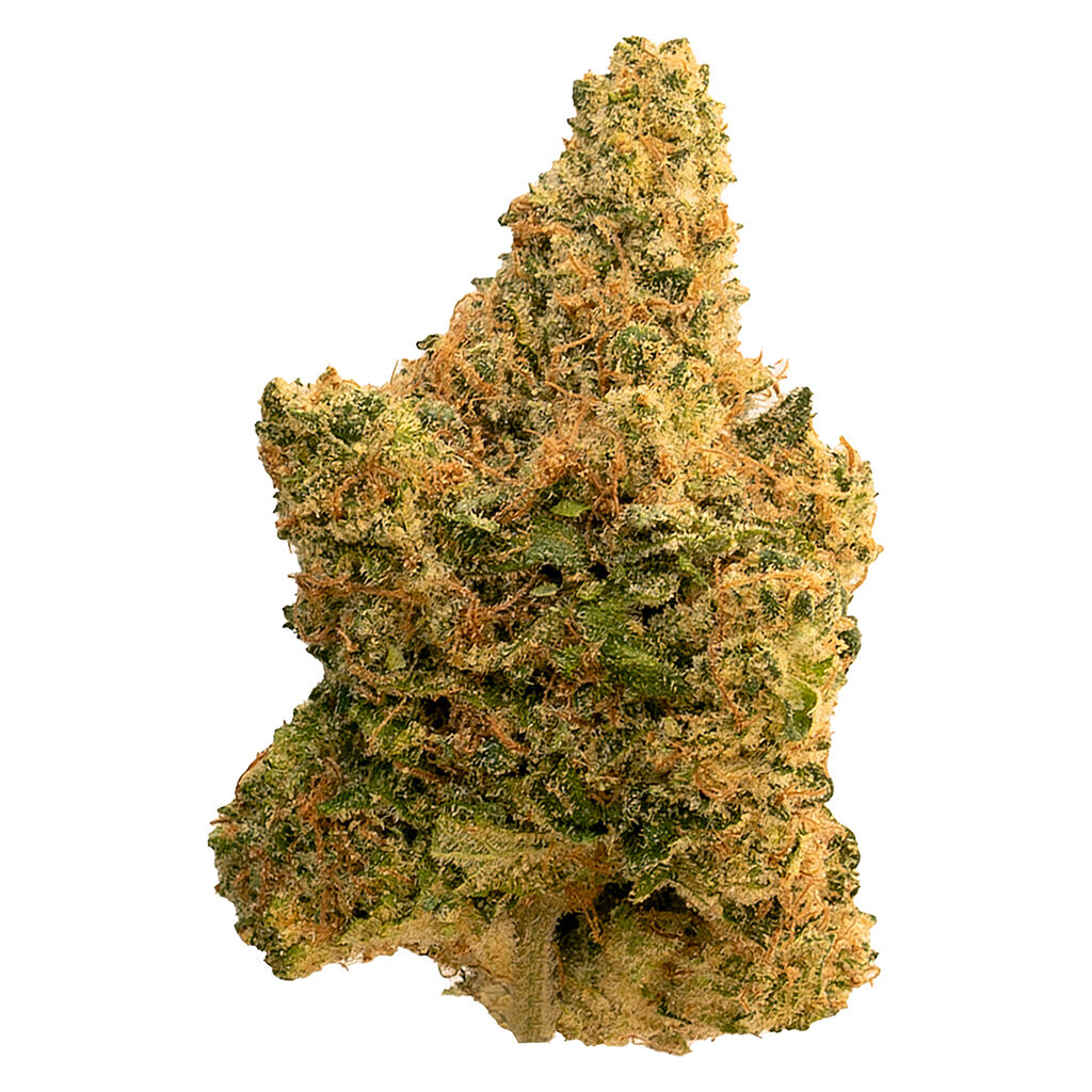 BIG BIG Banana OG
