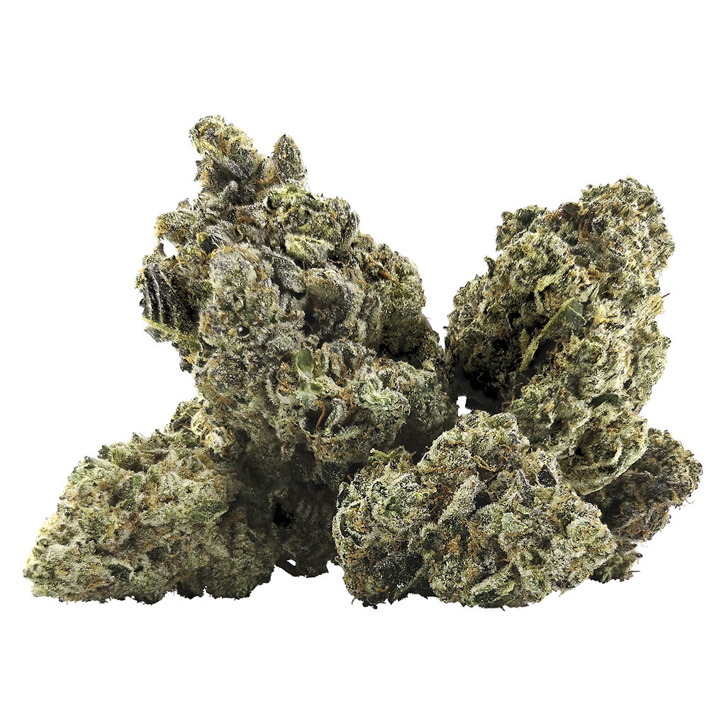 DEALR Galactica OG