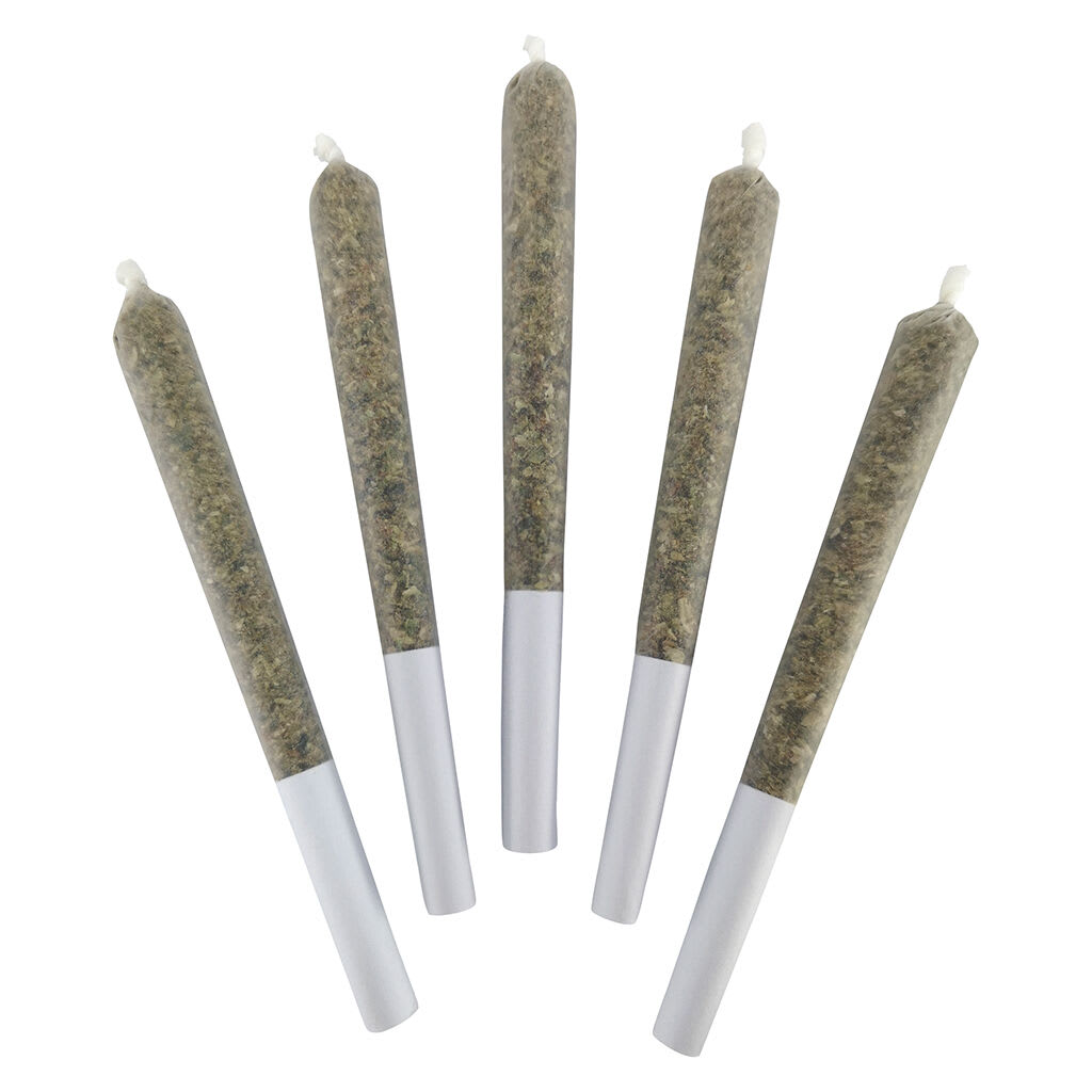 Galactica OG Pre-Roll